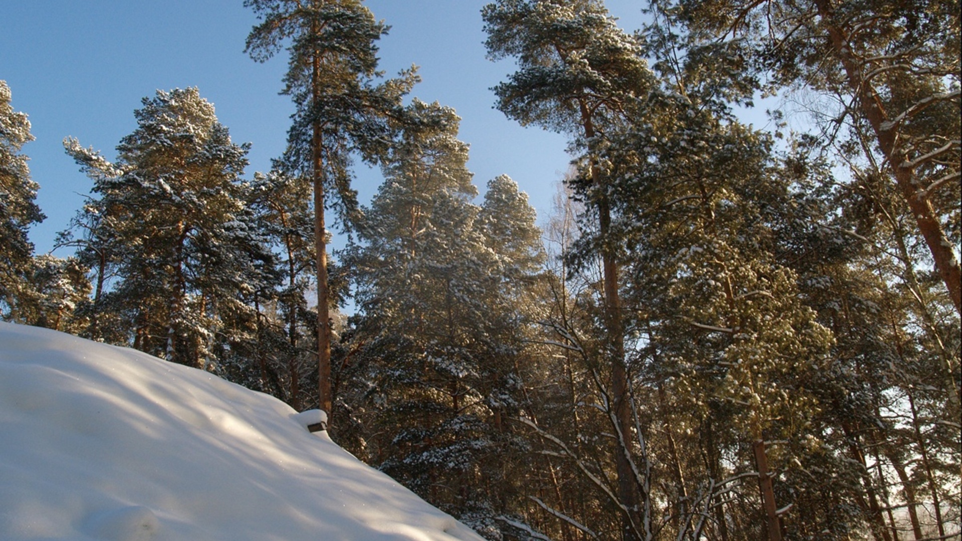 зайцевский парк таруса