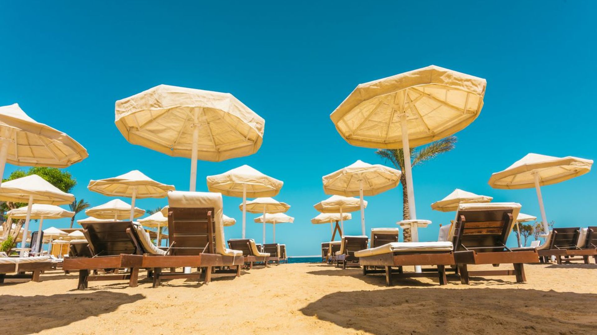 Seagull beach resort 4 египет хургада фото