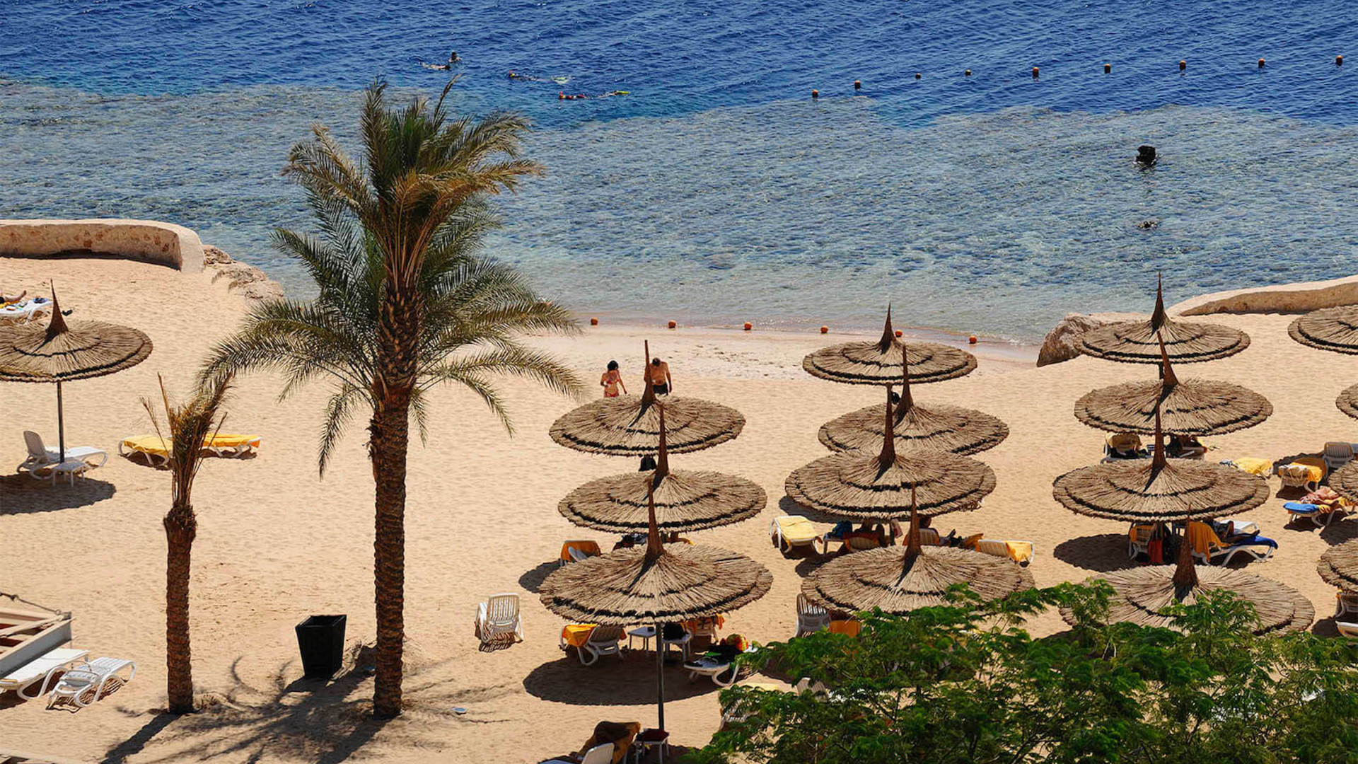 Reef oasis blue bay resort spa 5 карта отеля