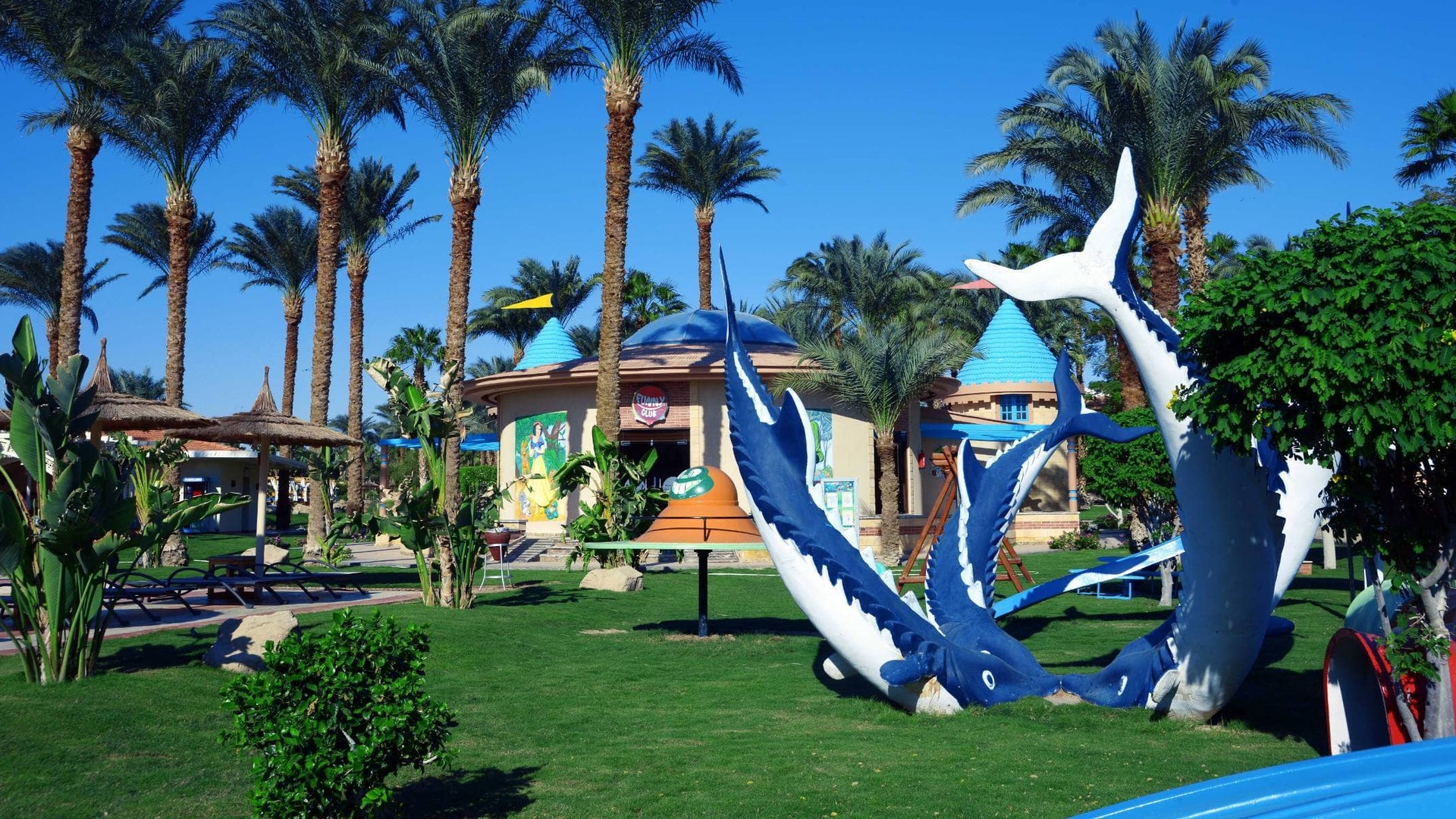 Beach albatros resort hurghada. Бич Альбатрос Резорт Хургада 4. Отель в Египте Альбатрос Бич. Хургада отель Альбатрос Бич клаб. Альбатрос Неверленд Хургада.